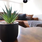 Le Patio - Spacieux T3 Avec Climatisation Et Jardin Privatif 公寓