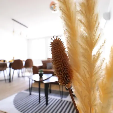 Le Patio - Spacieux T3 Avec Climatisation Et Jardin Privatif *